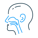 ear