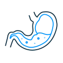 liver