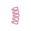 spine neurology